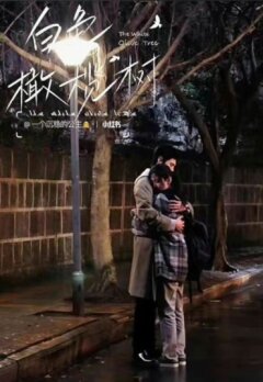 Белое оливковое дерево