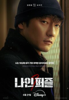 Девятый пазл