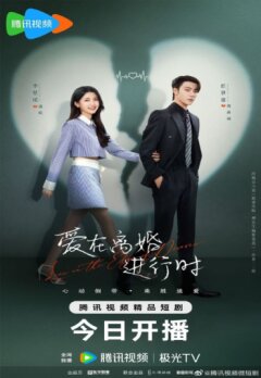 Любовь на грани развода