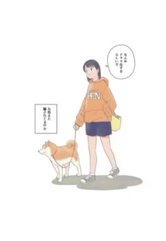 Сегодняшняя прогулка с Понтой