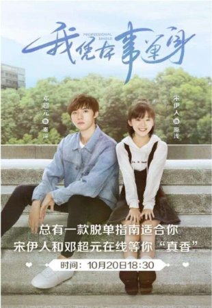 Профессионал-одиночка